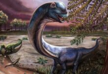 dinosaur
