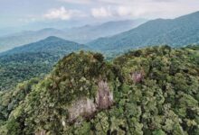 gunung