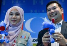 rafizi