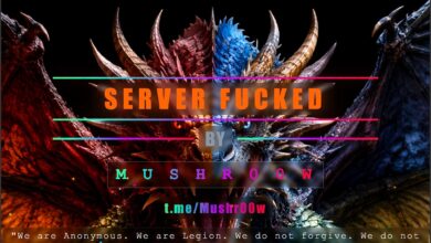 Hack