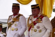 raja perlis