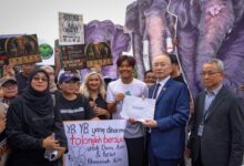 Usaha Neow itu turut mendapat sokongan beberapa NGO serta aktivis konservasi yang hadir di Parlimen dengan membawa simbol dan karya seni sebagai tanda sokongan.