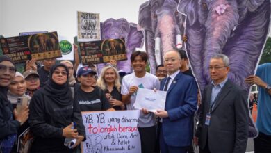 Usaha Neow itu turut mendapat sokongan beberapa NGO serta aktivis konservasi yang hadir di Parlimen dengan membawa simbol dan karya seni sebagai tanda sokongan.