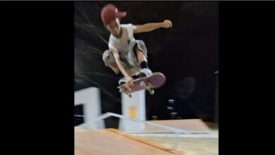 Go Skate Day