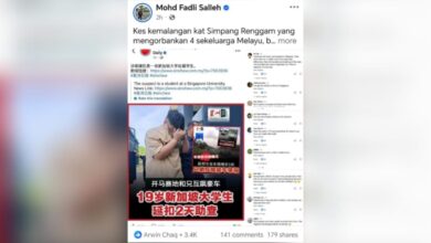 cikgu fadli