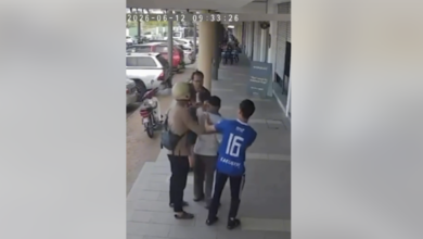 video tular