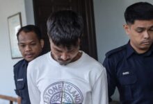 rohingya