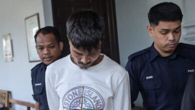 rohingya