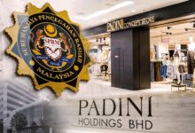padini