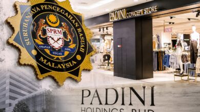 padini