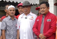 rengit
