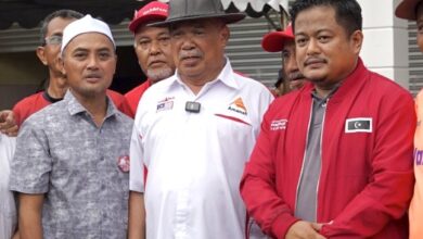 rengit