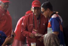 mengundi