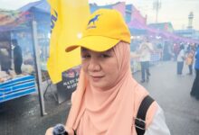norsinah abu