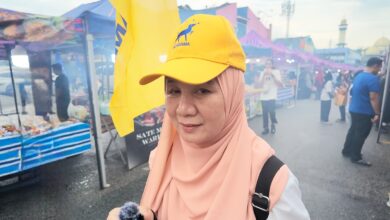 norsinah abu