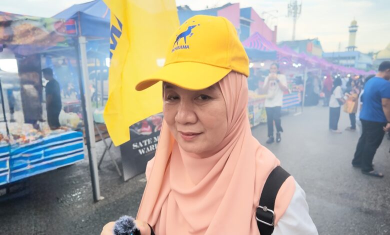 norsinah abu