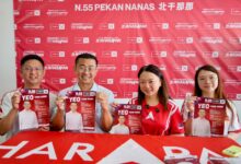 hannah yeoh pekan nanas