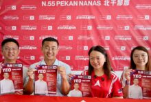 hannah yeoh pekan nanas