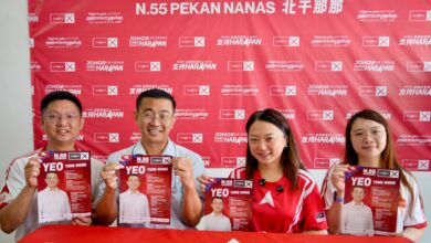 hannah yeoh pekan nanas