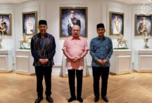 sultan ibrahim