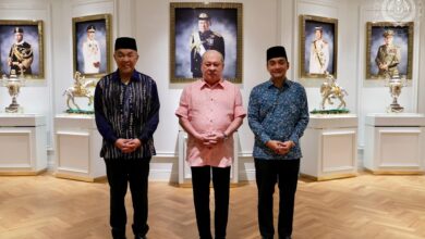 sultan ibrahim