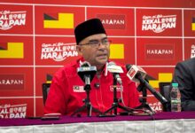 mujahid