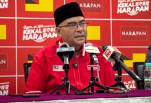 mujahid