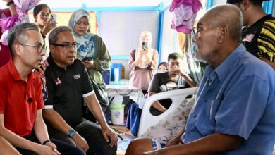 palsu