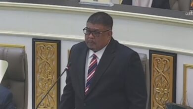 ab rauf