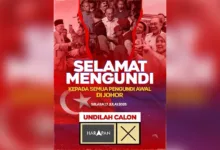 mengundi