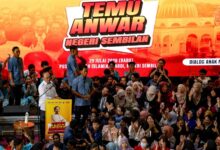 temu anwar