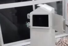 curi