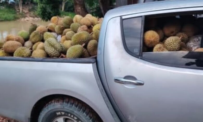 durian