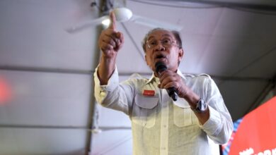 1mdb