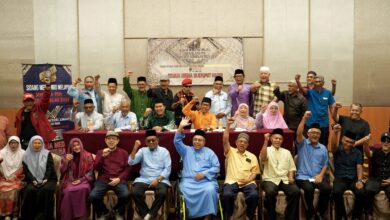 ngo melayu