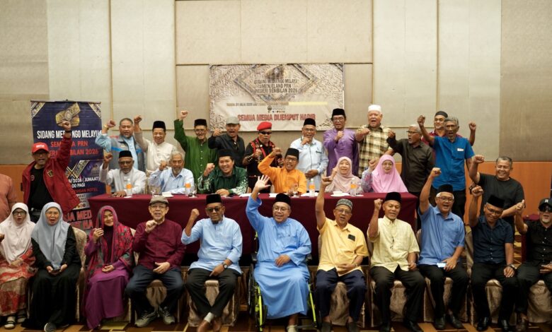 ngo melayu
