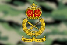 tentera darat