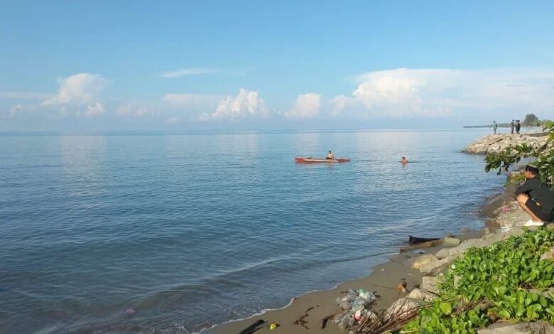 buaya