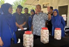 itik