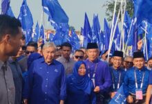 tok mat