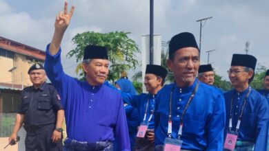 tok mat
