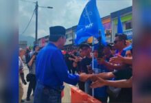 tok mat