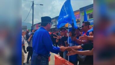 tok mat