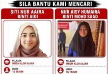 Mrsm