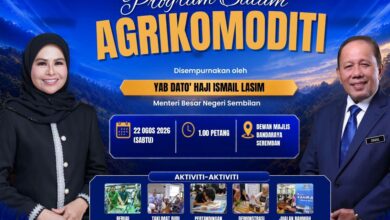 Agrikomoditi