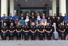 perlis