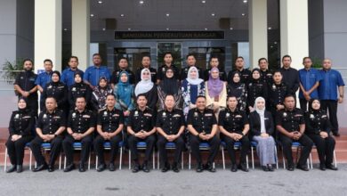 perlis
