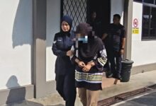kutu