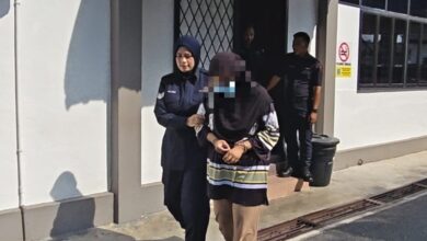 kutu