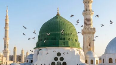 maulid